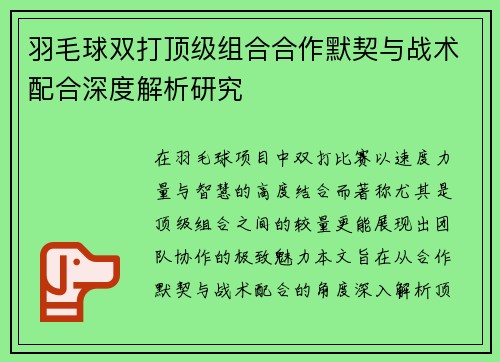 羽毛球双打顶级组合合作默契与战术配合深度解析研究